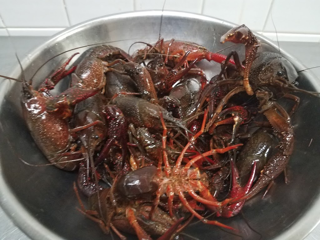 Hanks Fish Market | restaurant | 4319 Lockwood Dr, Houston, TX 77026, USA | 7136720230 OR +1 713-672-0230