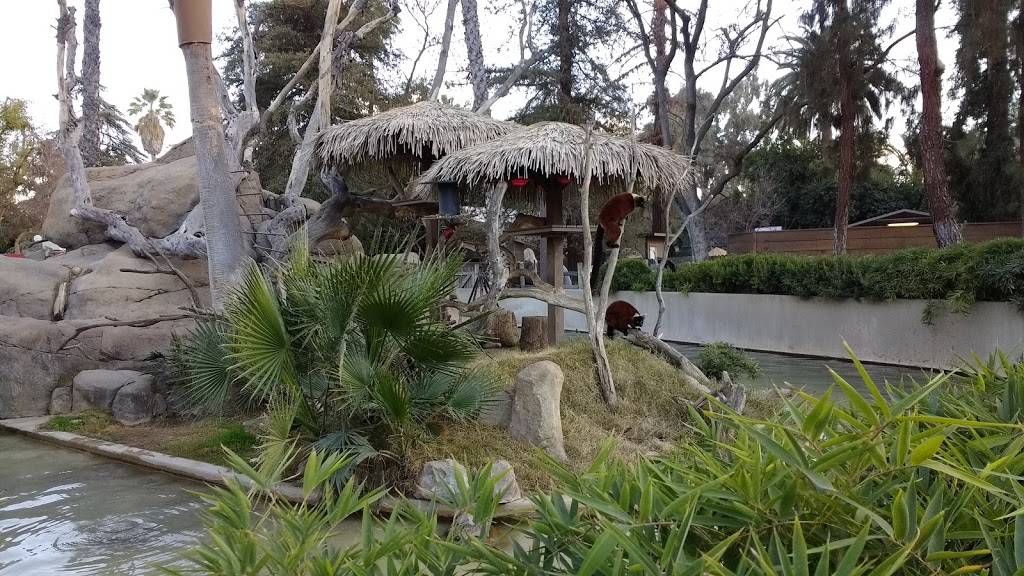 Fireside Cafe | restaurant | 2301-2315 Bonisteel Blvd, Ann Arbor, MI 48109, USA | 7347647535 OR +1 734-764-7535