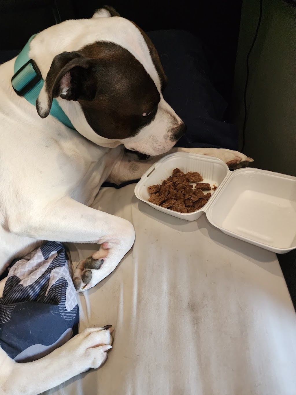 Tacos la Piramide | restaurant | Jefferson St NE &, McLeod Rd NE, Albuquerque, NM 87109, USA | 5055693083 OR +1 505-569-3083