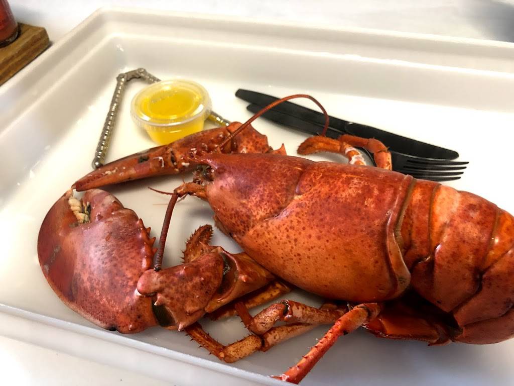Alive & Kicking Lobsters | restaurant | 269 Putnam Ave, Cambridge, MA 02139, USA | 6178760451 OR +1 617-876-0451