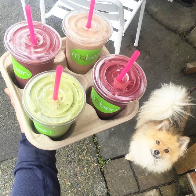 Moberi | restaurant | 1876 SW 5th Ave, Portland, OR 97201, USA | 5039016279 OR +1 503-901-6279