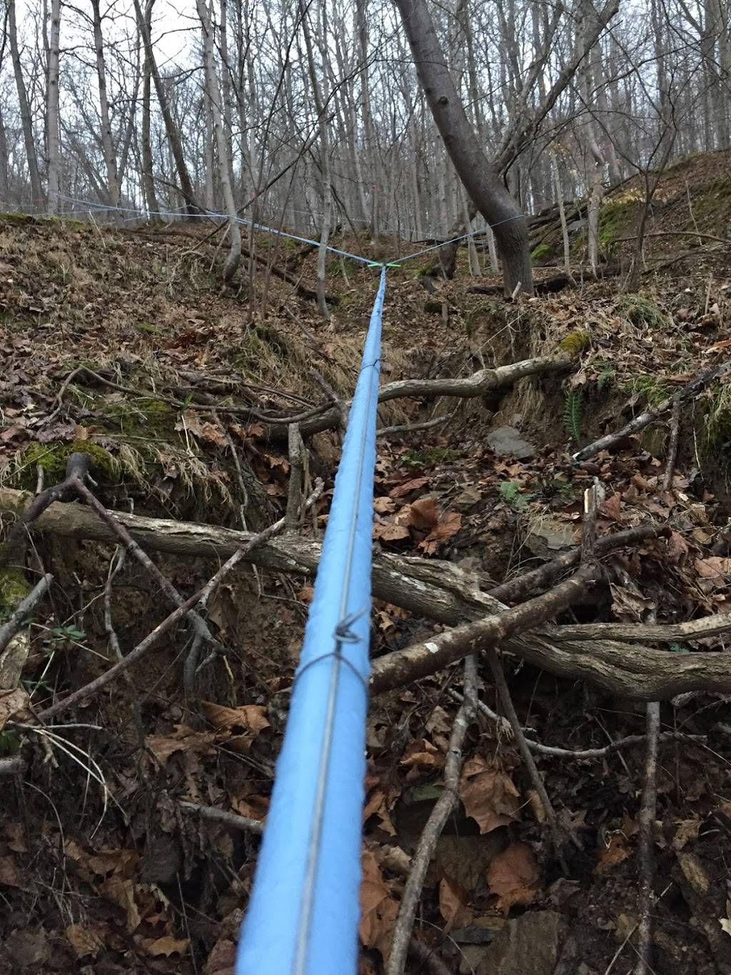 Flanigan Family Maple | restaurant | 185 Sperry Run Rd, Prichard, WV 25555, USA | 3049723129 OR +1 304-972-3129