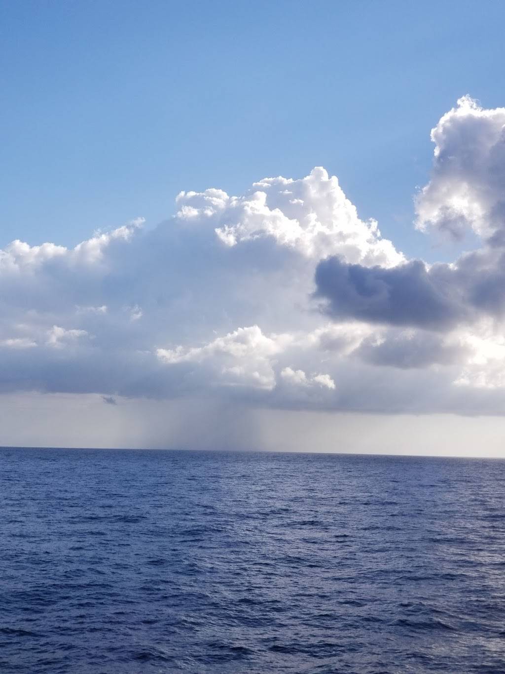 Lupitas Panaderia y Pizzeria | bakery | 653 98th Ave, Oakland, CA 94603, USA | 5103821940 OR +1 510-382-1940