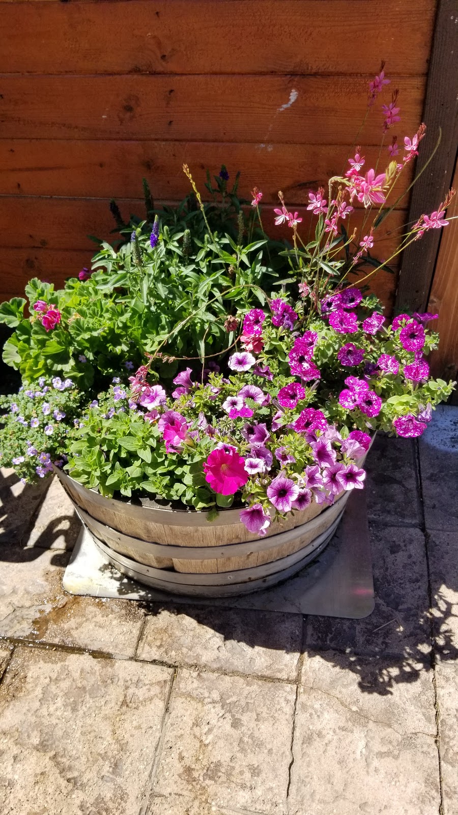 Bucks Lakeshore Resort | restaurant | 16001 Bucks Lake Rd, Quincy, CA 95971, USA | 5302832848 OR +1 530-283-2848