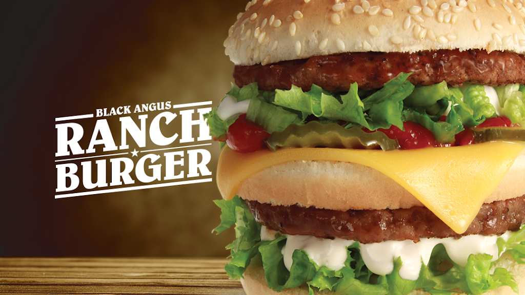 Arctic Circle | meal takeaway | 1075 N Fairfield Rd, Layton, UT 84041, USA | 8015478773 OR +1 801-547-8773