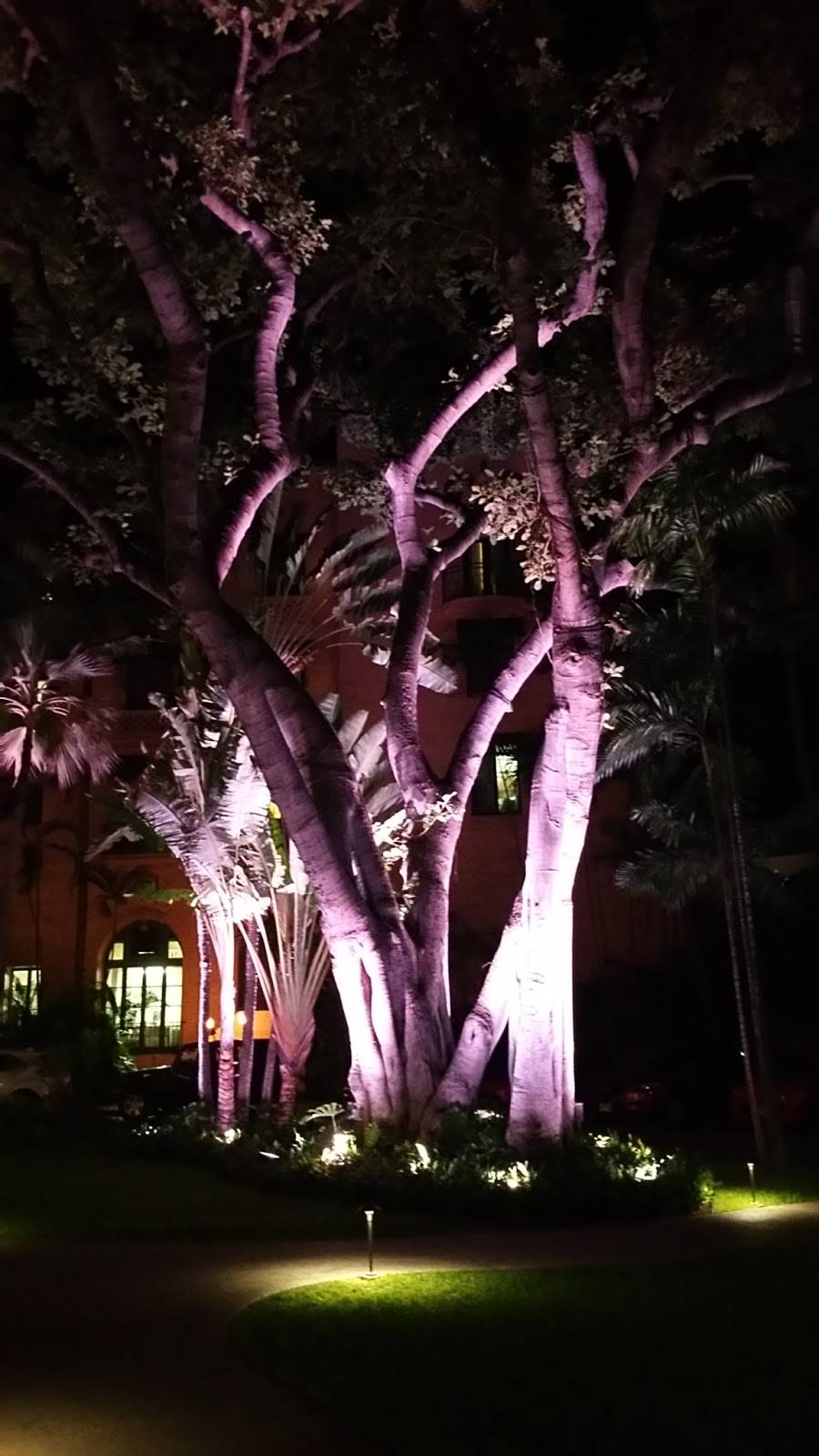 Honolulu Coffee at Sheraton Waikiki | cafe | 2255 Kalakaua Ave, Honolulu, HI 96815, USA | 8089318907 OR +1 808-931-8907