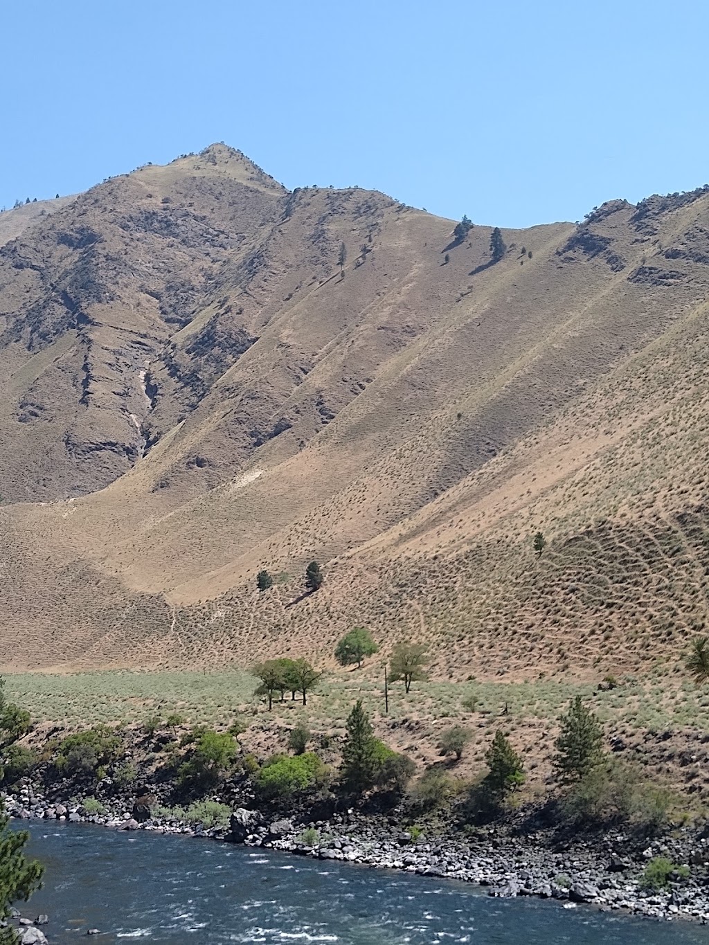 Seven Devils Bar & Steakhouse | restaurant | 312 Main St, Riggins, ID 83549, USA | 2086283558 OR +1 208-628-3558