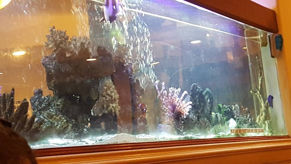 Shanghai Diamond Garden | restaurant | 9401 Pico Blvd, Los Angeles, CA 90035, USA | 3105530998 OR +1 310-553-0998