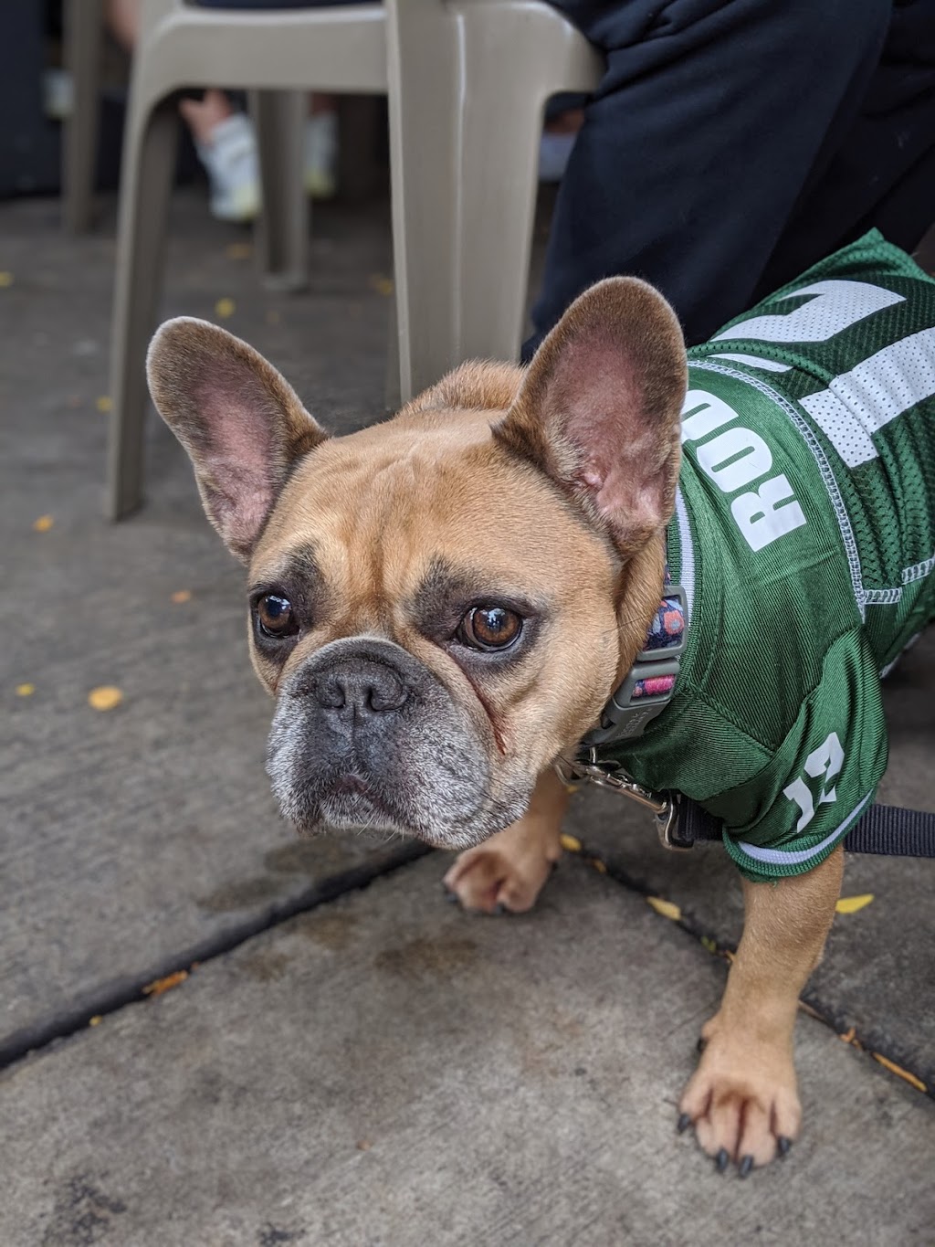 Chasers Bar & Grille | restaurant | 408 W Gorham St, Madison, WI 53703, USA | 6085886825 OR +1 608-588-6825