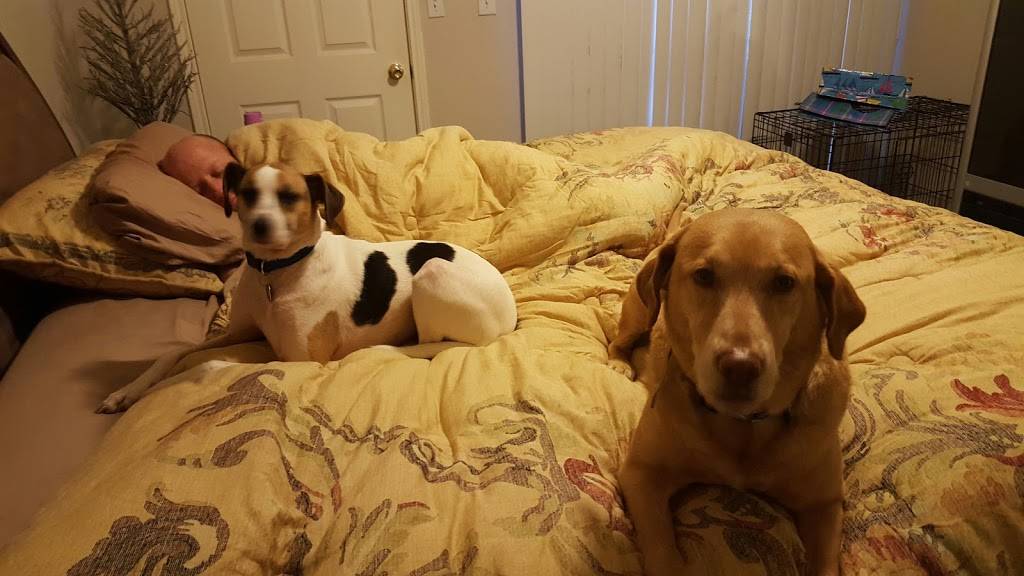 Sonic Drive-In | restaurant | 201 N Denton Tap Rd, Coppell, TX 75019, USA | 9723040180 OR +1 972-304-0180