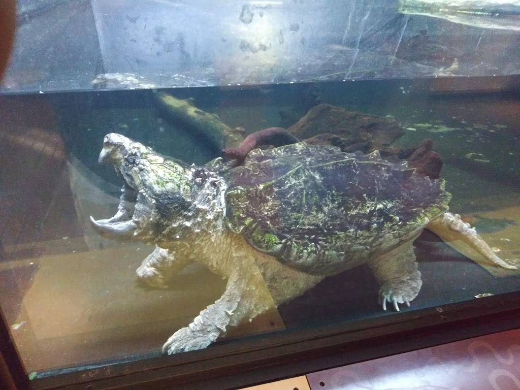 Charleys Philly Steaks | restaurant | 620 Chestnut Commons Dr, Elyria, OH 44035, USA | 4403660404 OR +1 440-366-0404