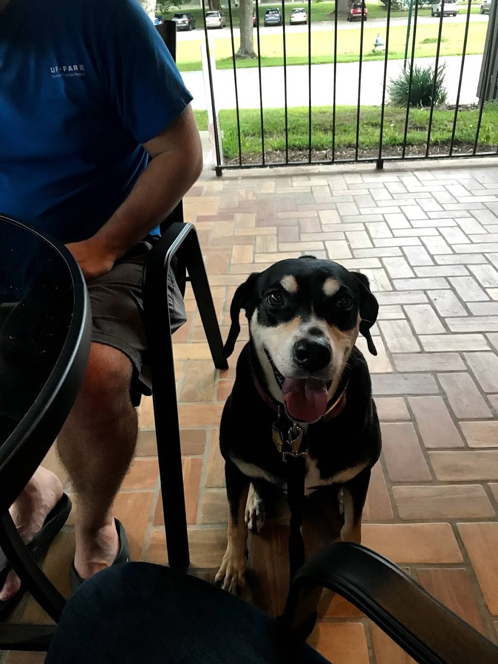 Chef Brothers 19th Hole | restaurant | 11400 Turkey Creek Blvd, Alachua, FL 32615, USA | 3865185582 OR +1 386-518-5582