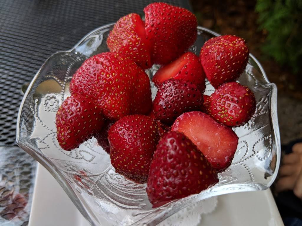 Marthas Leelanau Table | cafe | 413 N St Joseph St, Suttons Bay, MI 49682, USA | 2312712344 OR +1 231-271-2344