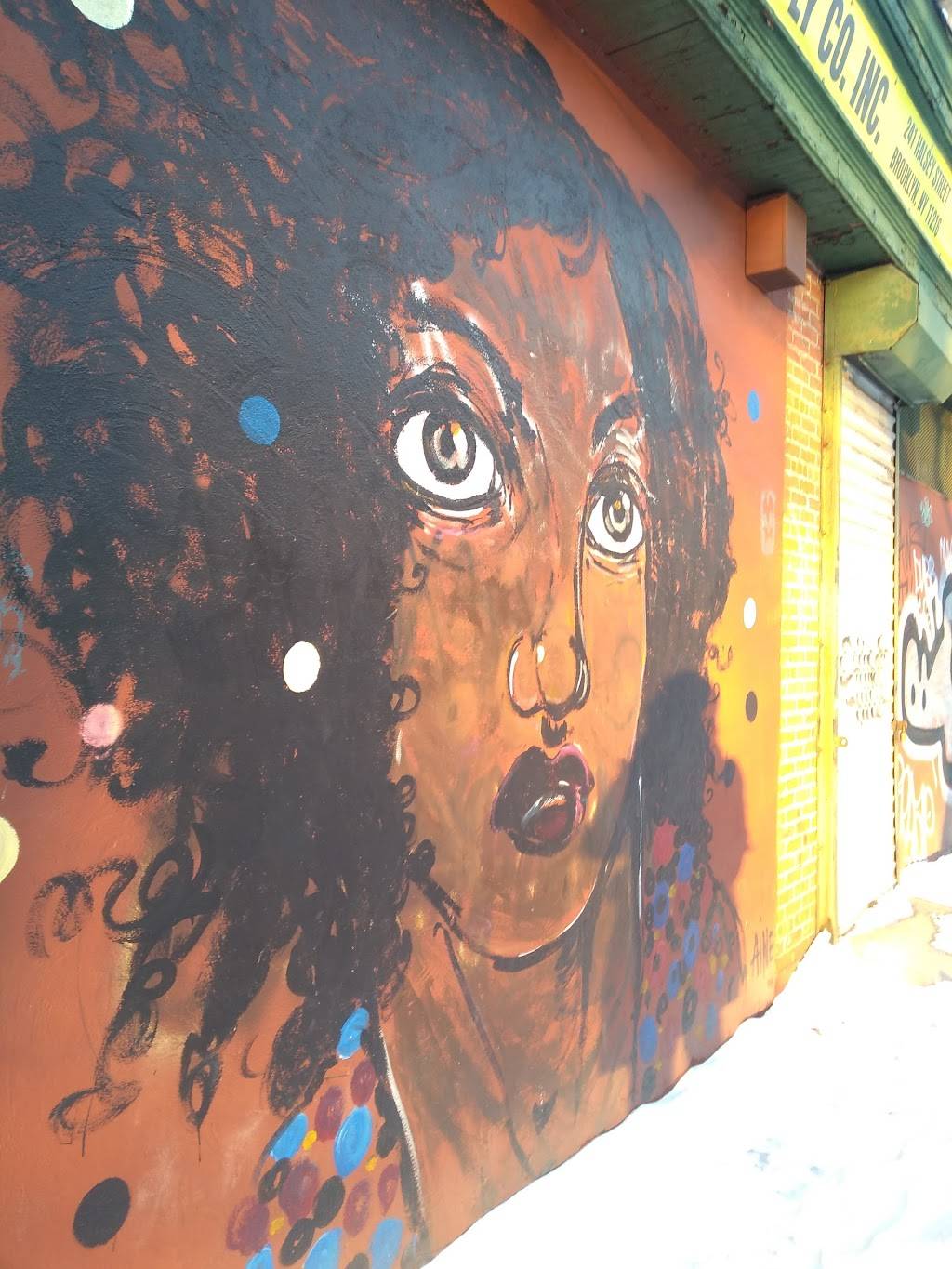 Lindas Rib Kage | restaurant | 260 Halsey St, Brooklyn, NY 11216, USA | 7184842414 OR +1 718-484-2414