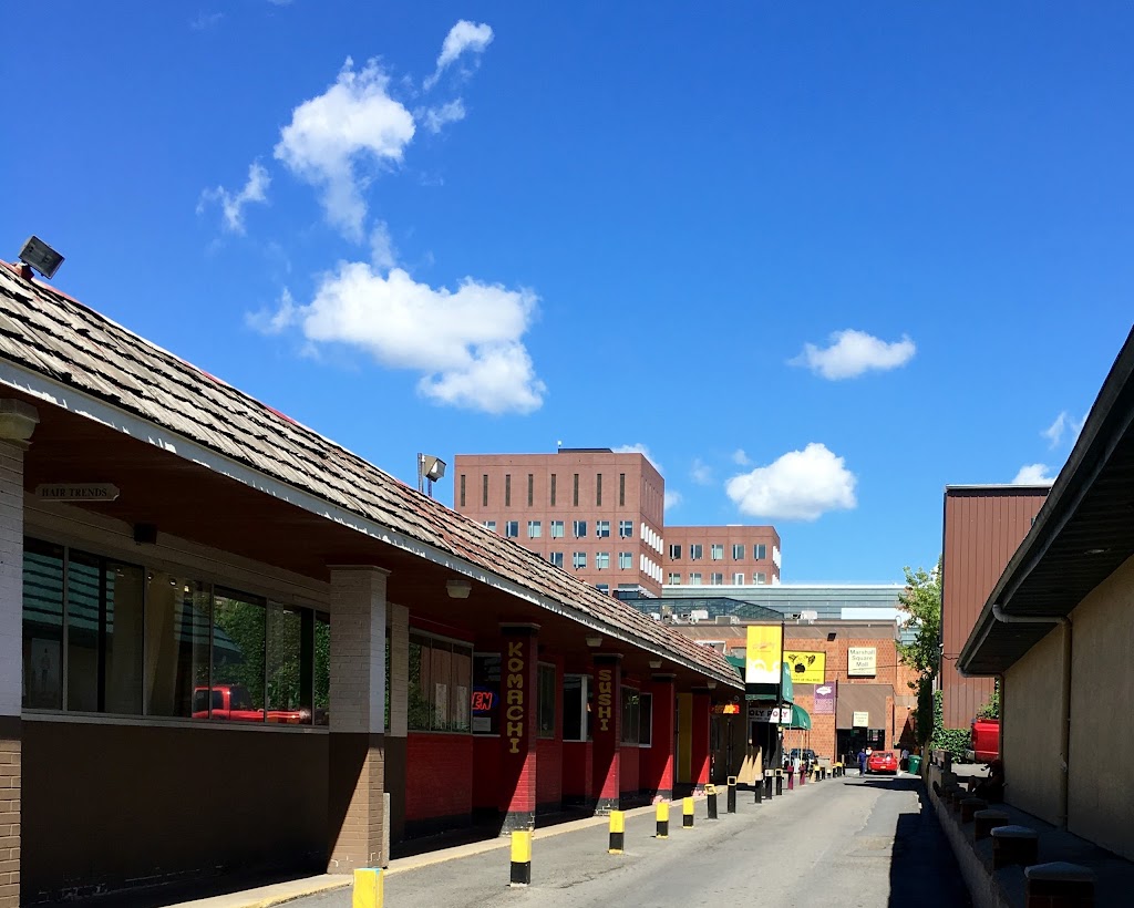 Funk n Waffles | cafe | 727 S Crouse Ave #8, Syracuse, NY 13210, USA | 3154779700 OR +1 315-477-9700