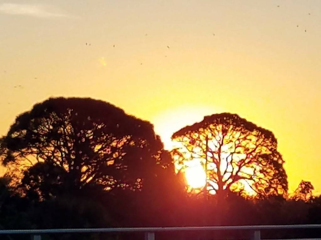 Subway | restaurant | 3120 N Courtenay Pkwy B, Merritt Island, FL 32953, USA | 3214490808 OR +1 321-449-0808