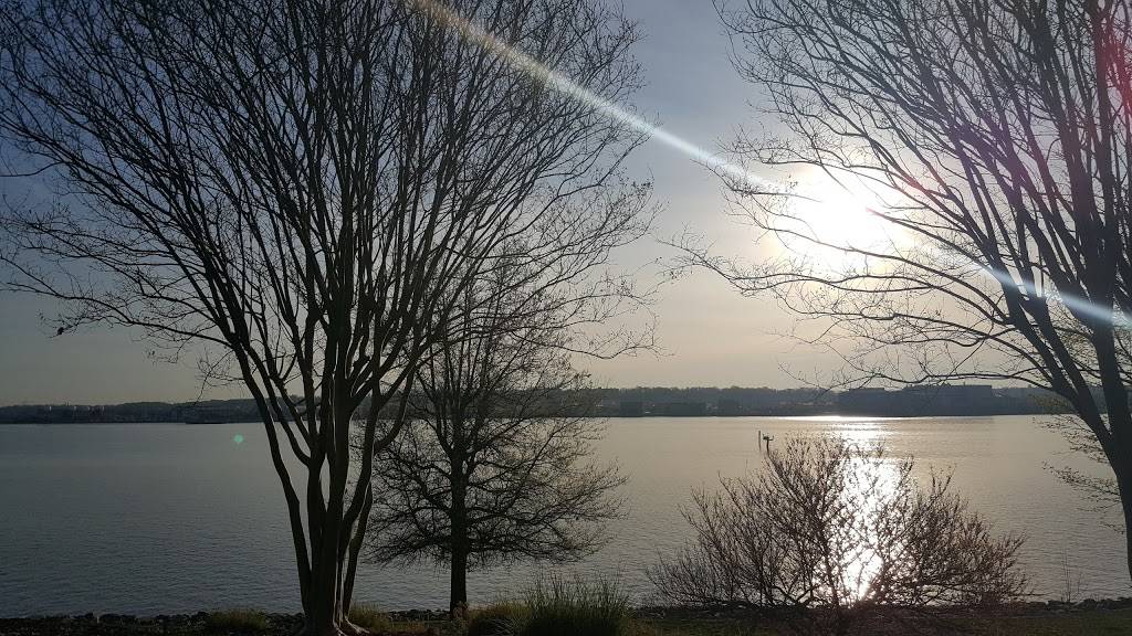 Woodstock Cafe | cafe | 99 Canal Center Plaza # G1, Alexandria, VA 22314, USA | 7035488999 OR +1 703-548-8999