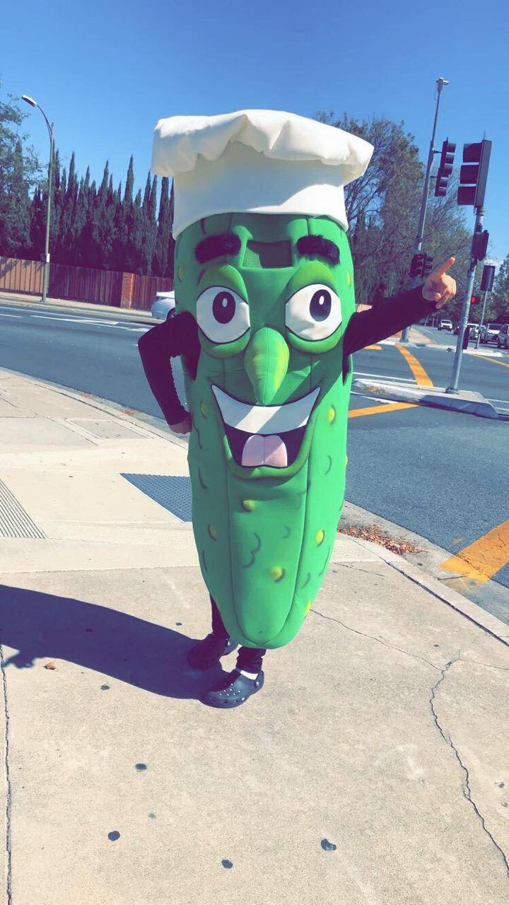 Mr. Pickles Sandwich Shop | restaurant | 6005 Snell Ave, San Jose, CA 95123, USA | 4089606811 OR +1 408-960-6811