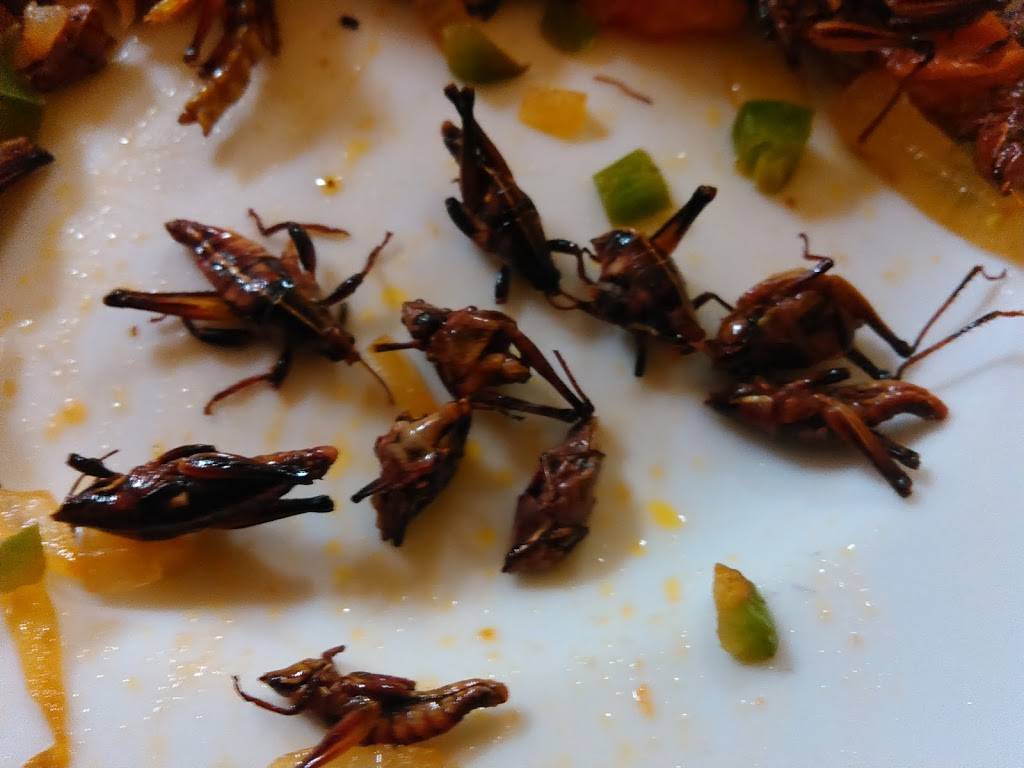 Sabor De Mi Tierra | restaurant | 1260 S Soto St #4, Los Angeles, CA 90023, USA | 3232667226 OR +1 323-266-7226