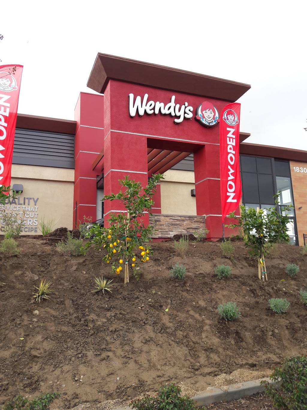 Wendys | restaurant | 1830 N Perris Blvd, Perris, CA 92571, USA | 9514434441 OR +1 951-443-4441