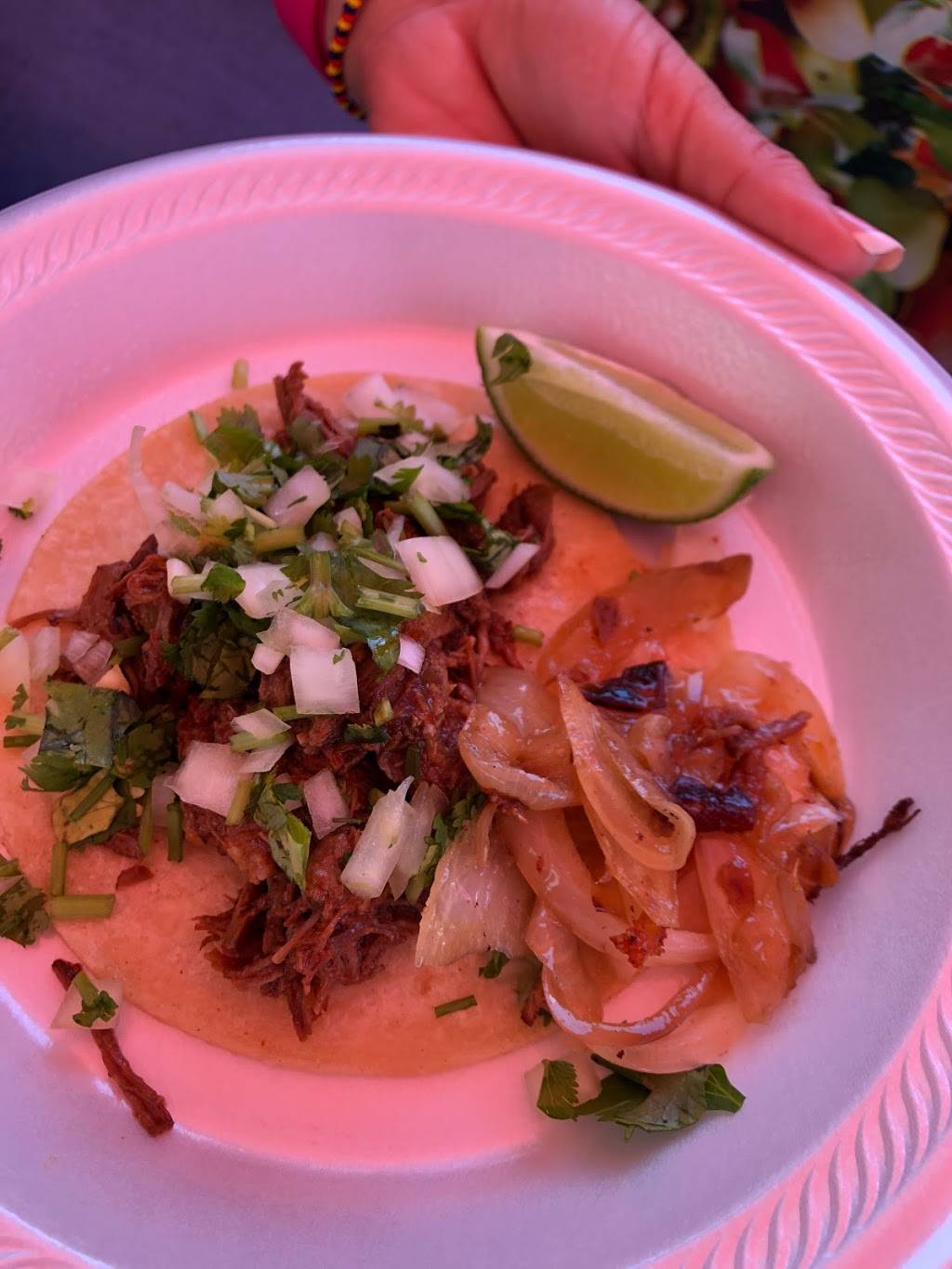 Taqueria Estrella | restaurant | 2550 Technology Dr, Orlando, FL 32804, USA | 4076927560 OR +1 407-692-7560