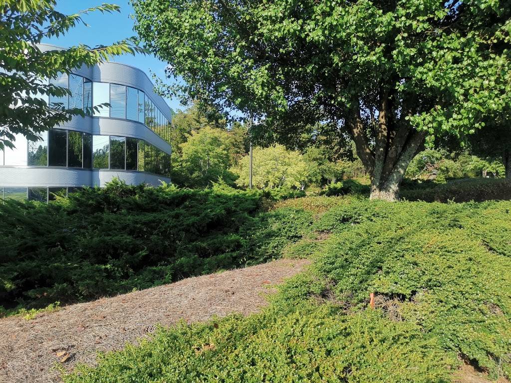 Cafe 135 | restaurant | 600 Morgan Falls Rd # 135, Atlanta, GA 30350, USA | 7705220096 OR +1 770-522-0096