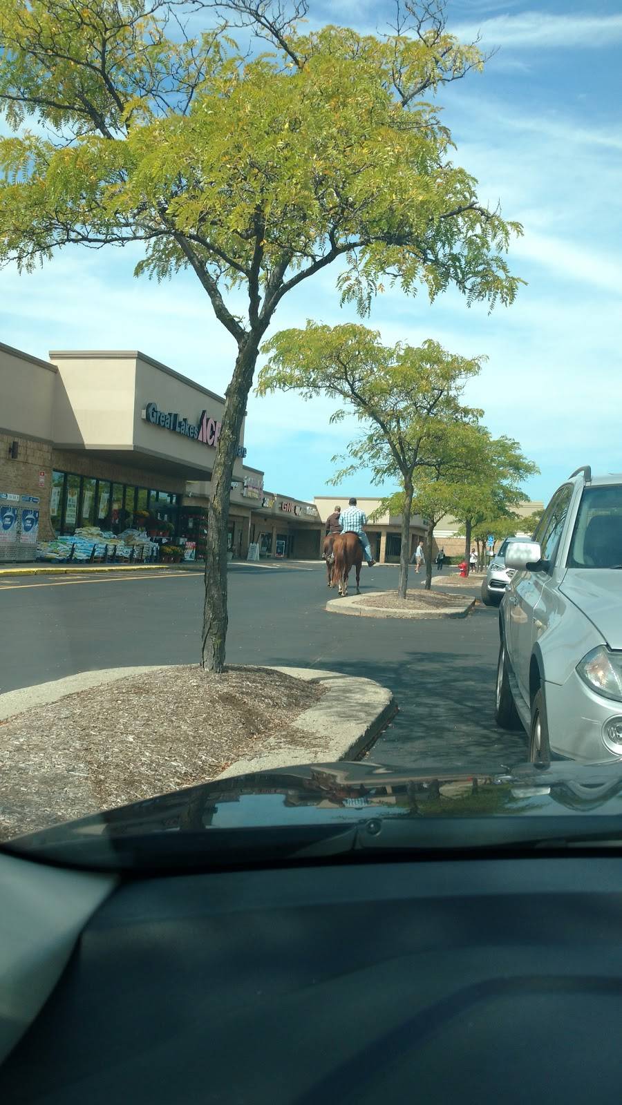 Fortuna Inn | restaurant | 22281 Pontiac Trail, South Lyon, MI 48178, USA | 2484374700 OR +1 248-437-4700