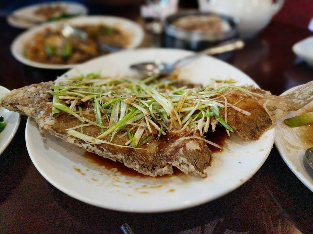 Yummy House China Bistro | restaurant | 2620 E Hillsborough Ave, Tampa, FL 33610, USA | 8132373838 OR +1 813-237-3838