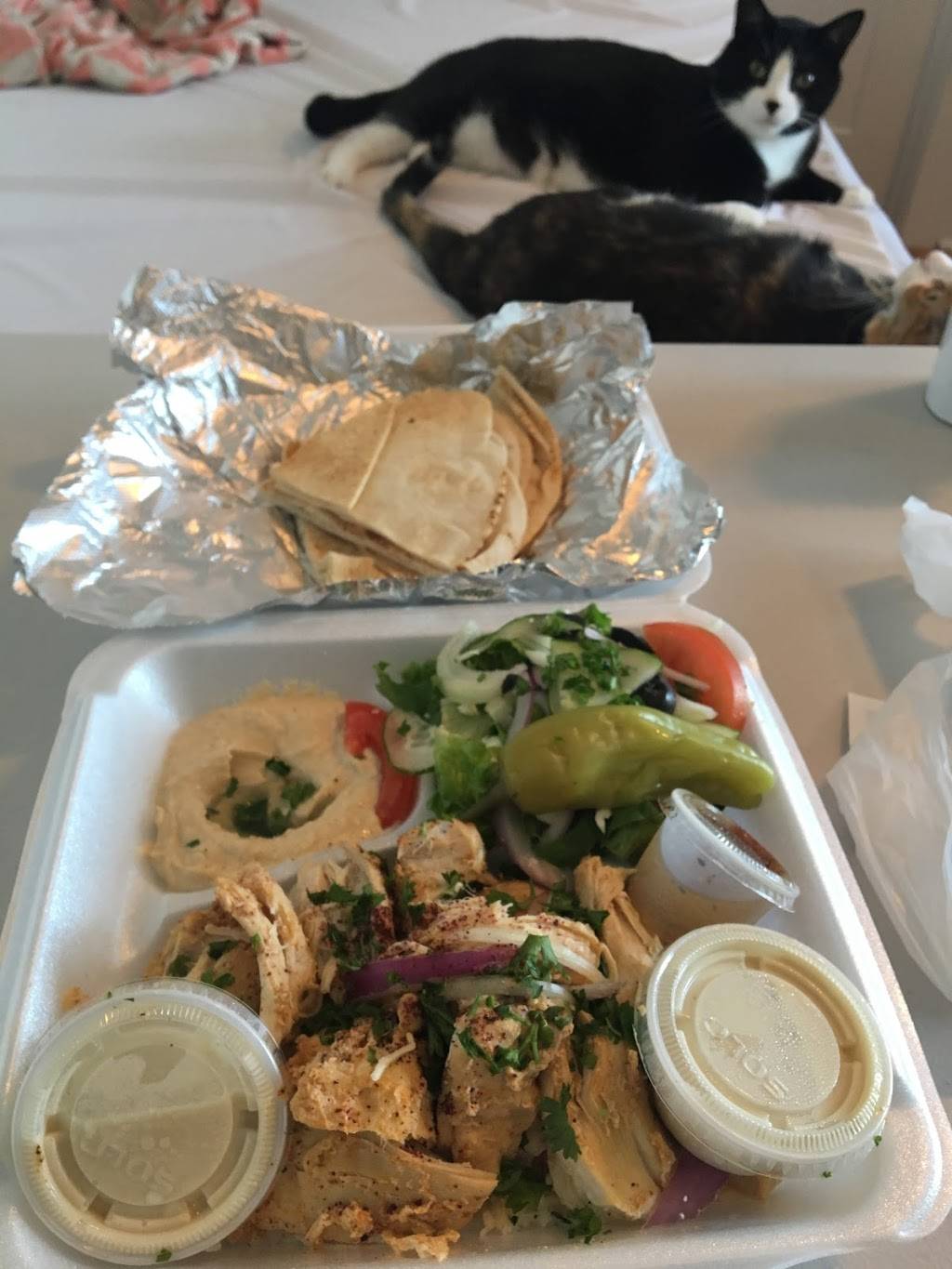 Smileys Café | cafe | 4253 Main St, Philadelphia, PA 19127, USA | 2673232098 OR +1 267-323-2098