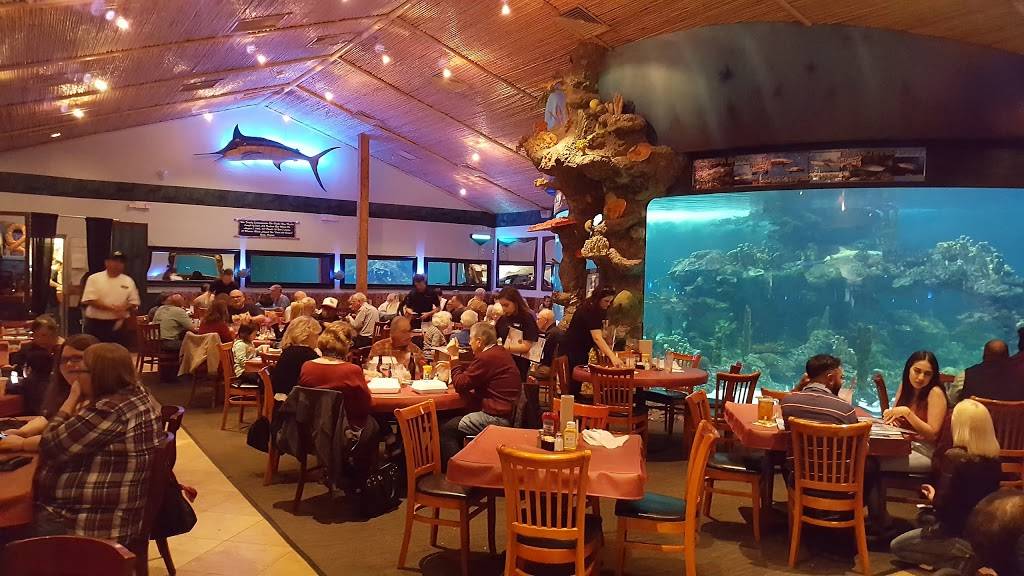 Dillons KC BBQ at Wildlife World Zoo | restaurant | 16335 W Northern Ave, Litchfield Park, AZ 85340, USA | 6235354249 OR +1 623-535-4249