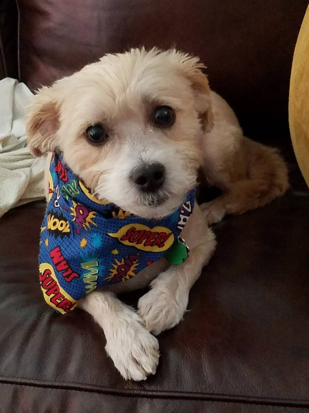 Palace Cantonese Restaurant | restaurant | 9236 Waukegan Rd, Morton Grove, IL 60053, USA | 8479662231 OR +1 847-966-2231