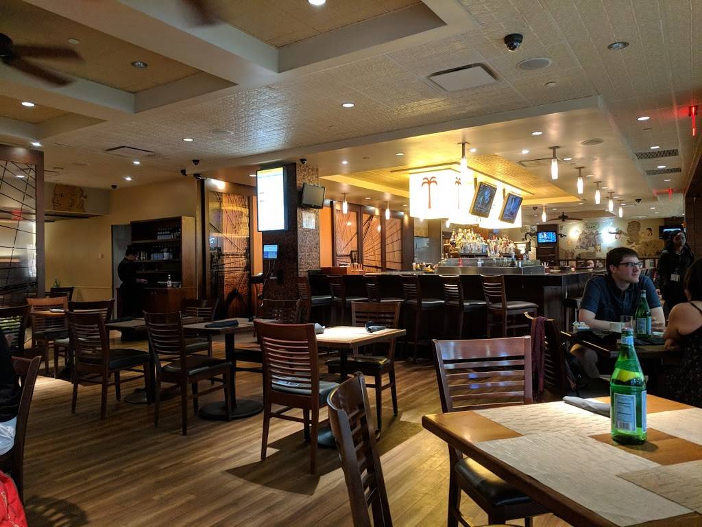 Palm | restaurant | Central Terminal Area, Jamaica, NY 11430, USA | 7187514798 OR +1 718-751-4798