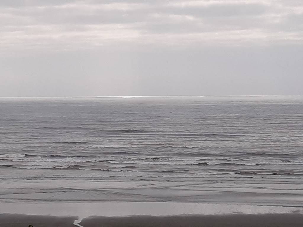 Windjammer Restaurant & Lounge | restaurant | 108 1st St N, Pacific Beach, WA 98571, USA | 3602768199 OR +1 360-276-8199