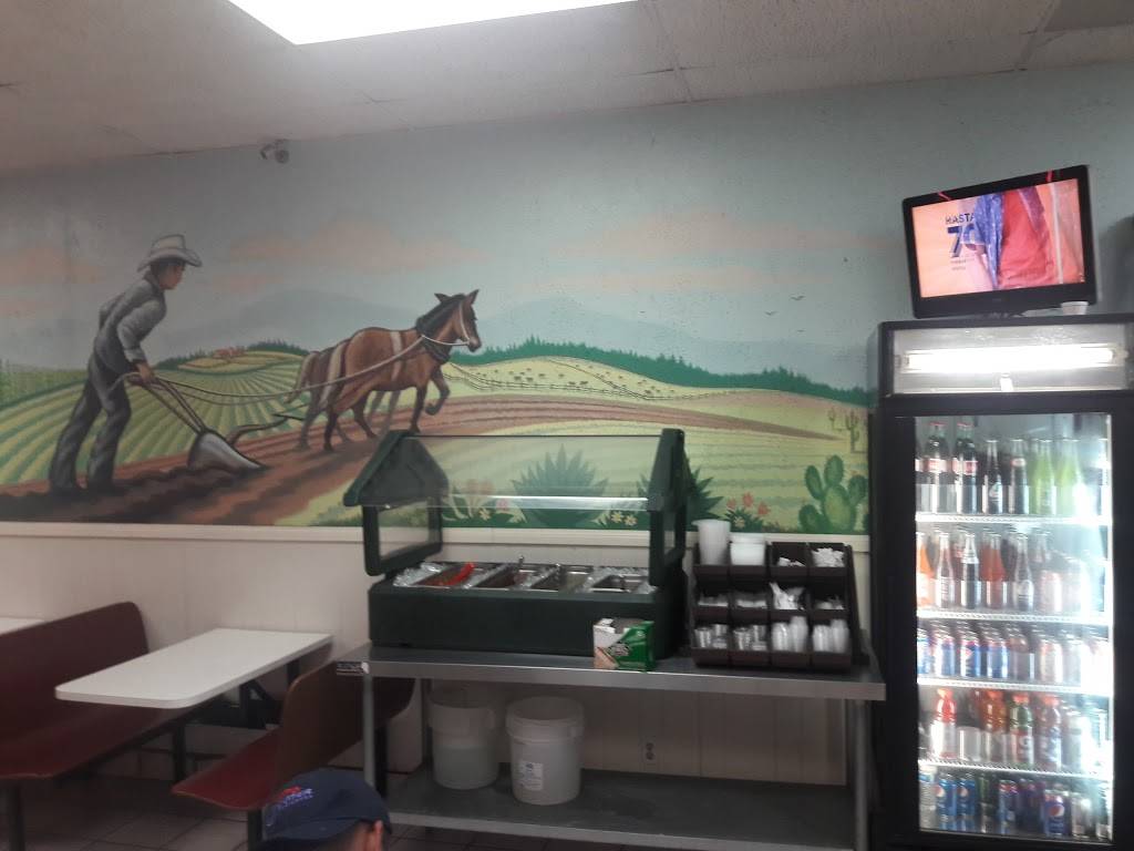 Jilbertos Taco Shop | restaurant | 573 W Vista Way, Vista, CA 92083, USA | 7606432245 OR +1 760-643-2245