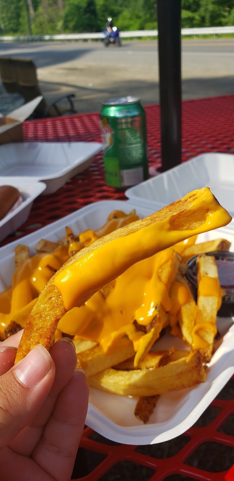 Dog Daze Cafe | meal takeaway | 713 Danbury Rd, Wilton, CT 06897, USA | 8456998848 OR +1 845-699-8848