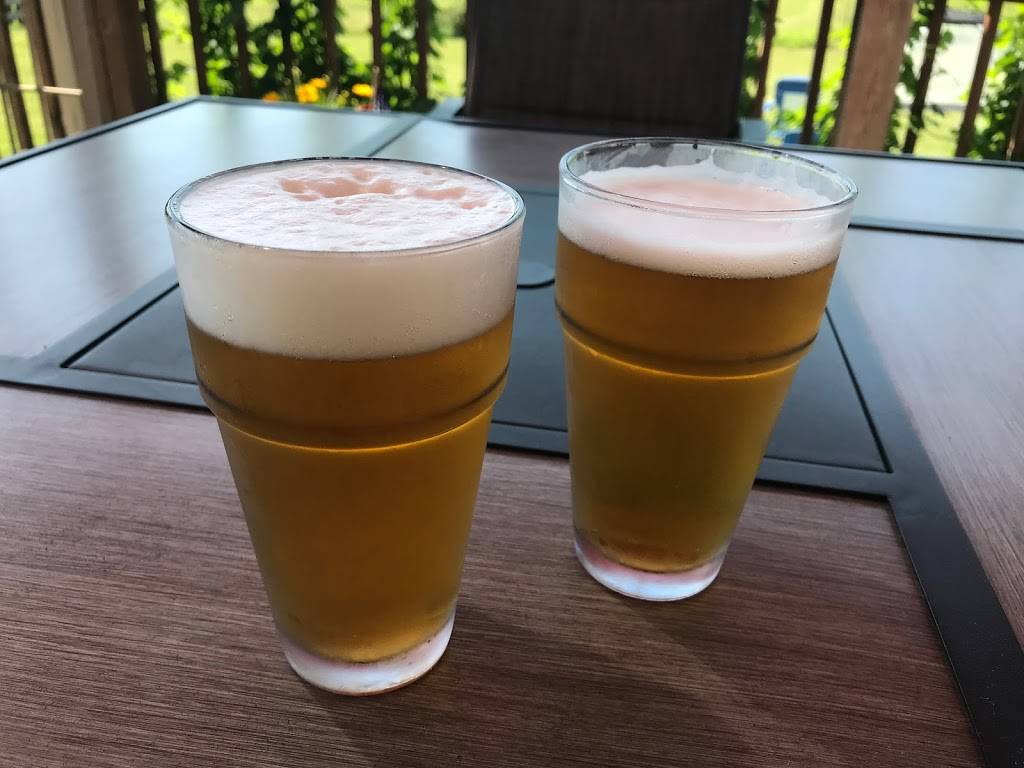 Swing On Brewing Company | restaurant | 3664 Potato Farm Rd, Crossville, TN 38571, USA | 9317876278 OR +1 931-787-6278