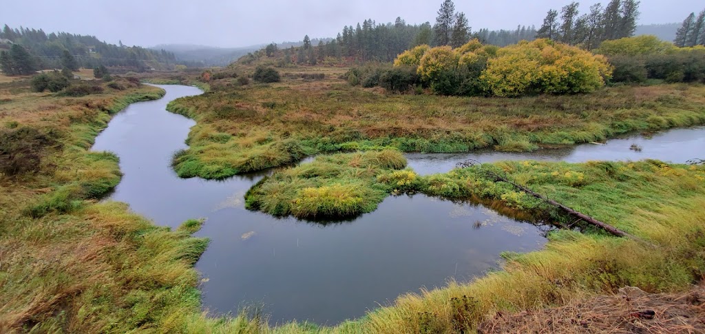 Latah Creek Golf Course | meal takeaway | 2210 E Hangman Valley Rd, Spokane, WA 99223, USA | 5094481212 OR +1 509-448-1212