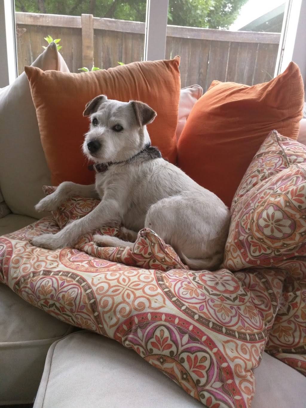 Armadillo La Salle | restaurant | 111 S 1st St, La Salle, CO 80645, USA | 9702845565 OR +1 970-284-5565