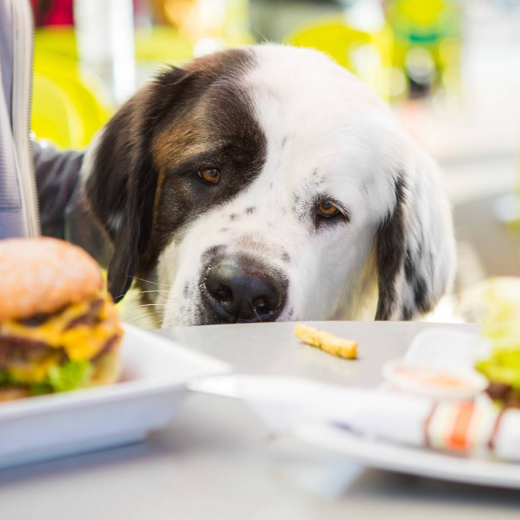 Burger Lounge | restaurant | 1198 Roseville Pkwy #135, Roseville, CA 95661, USA | 9165734107 OR +1 916-573-4107