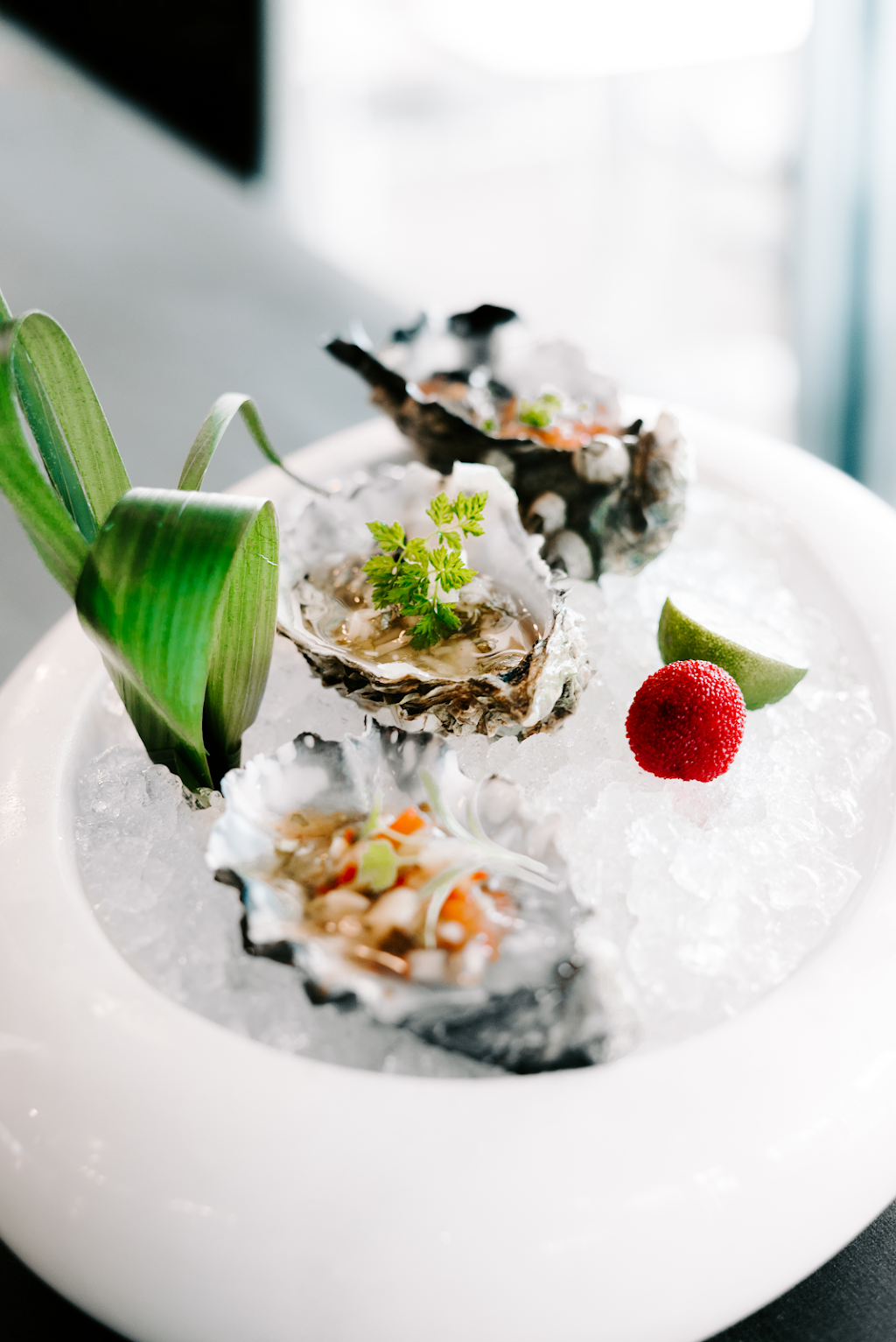 Koharu Japanese Restaurant | restaurant | 6115 Peachtree Dunwoody Rd #120, Sandy Springs, GA 30328, USA | 7708048155 OR +1 770-804-8155