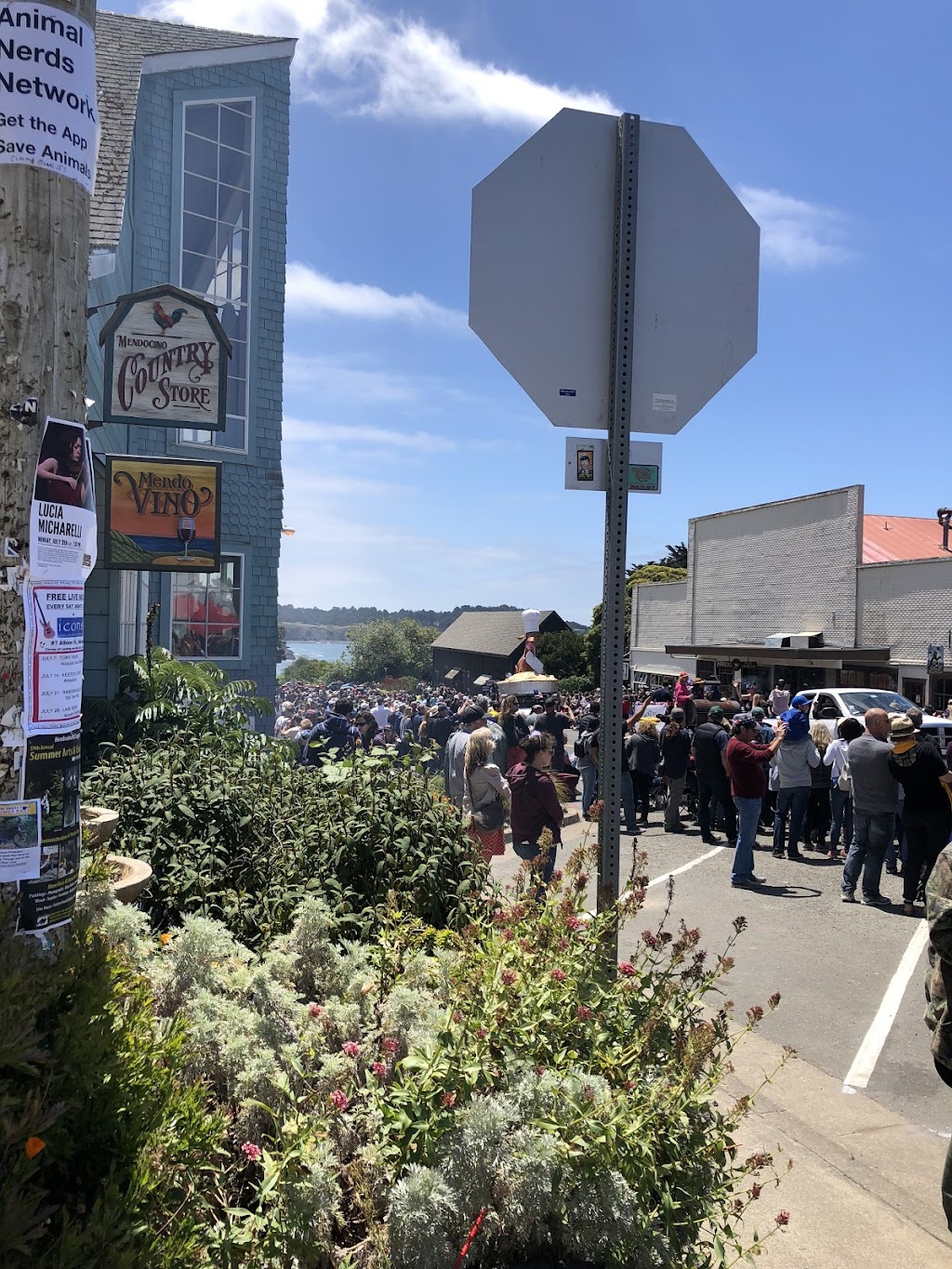 MendoVino Wine Bar | restaurant | 10481 Lansing St, Mendocino, CA 95460, USA | 7073971414 OR +1 707-397-1414