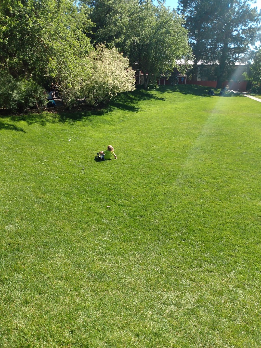 Lindys Restaurant | restaurant | 27843 US-95, Athol, ID 83801, USA | 2086833400 OR +1 208-683-3400