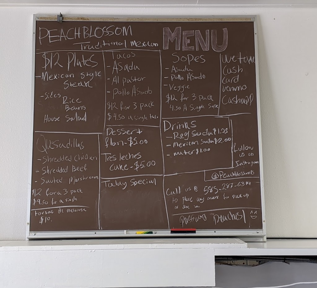 Peach blossom | restaurant | 9 E Main St, Rochester, NY 14614, USA | 5852876314 OR +1 585-287-6314