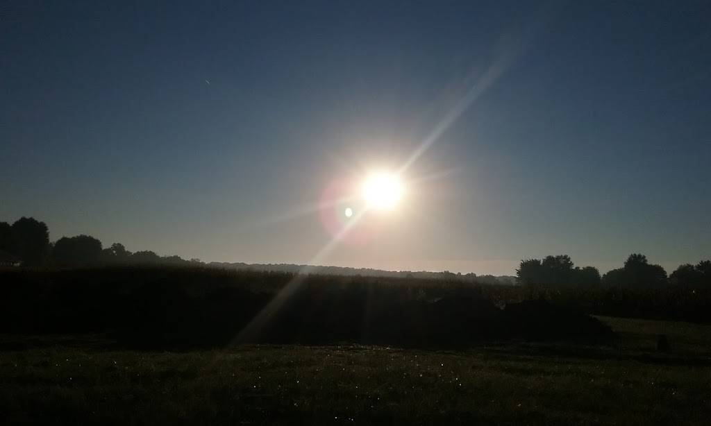 Burbach Concessions | restaurant | 6850 OH-534, West Farmington, OH 44491, USA | 3308892171 OR +1 330-889-2171