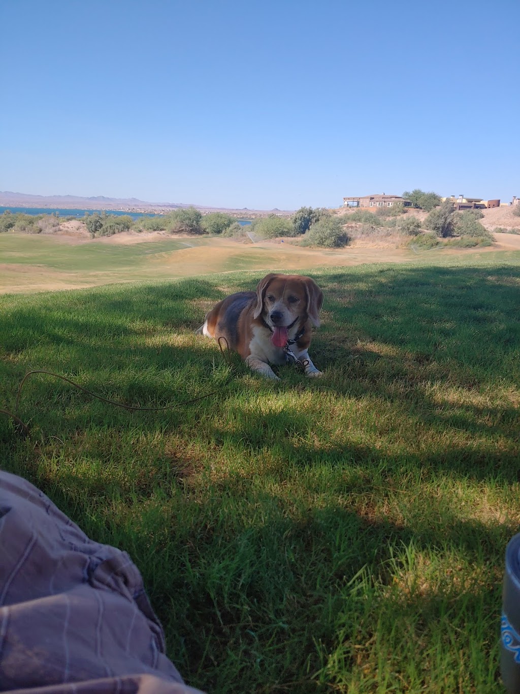 Refuge Golf & Country Club | restaurant | 3275 N Latrobe Dr, Lake Havasu City, AZ 86404, USA | 9287641404 OR +1 928-764-1404