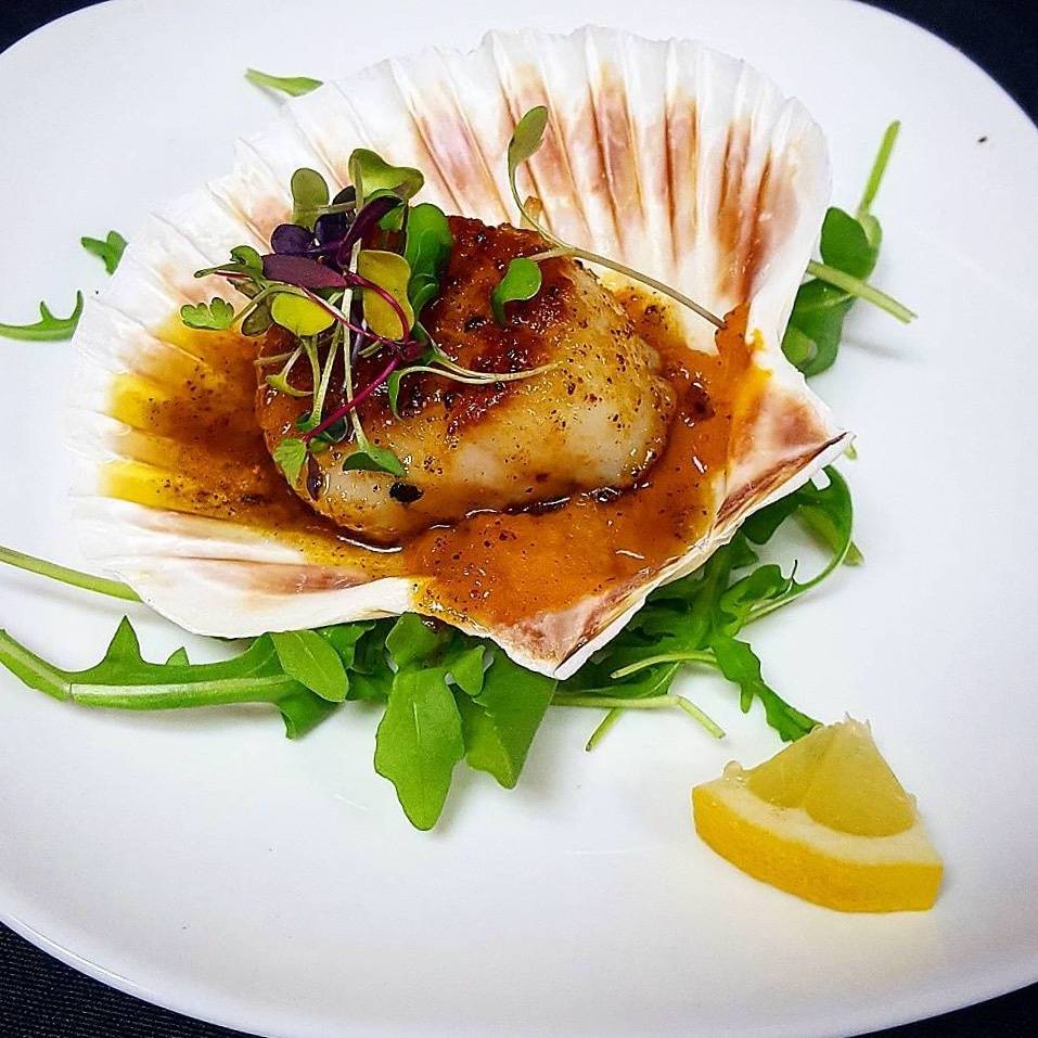 Vino Italian + Bistro | restaurant | 138 S Battlefield Blvd, Chesapeake, VA 23322, USA | 7572779081 OR +1 757-277-9081