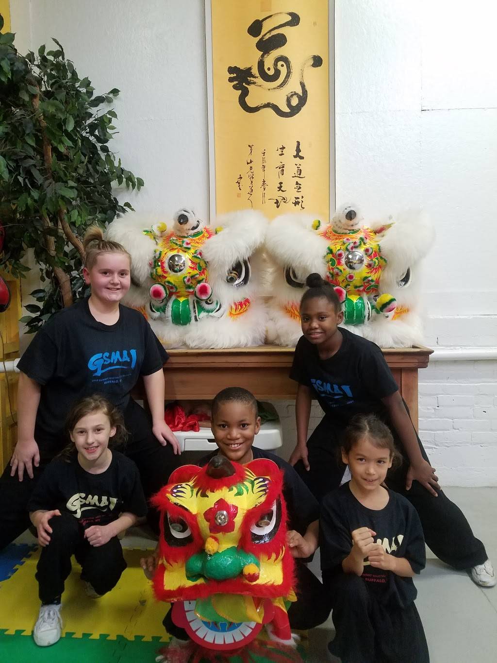 Gold Summit Kungfu Tai Chi Institute | restaurant | 255 Great Arrow Ave suite 112, Buffalo, NY 14207, USA | 7168743939 OR +1 716-874-3939