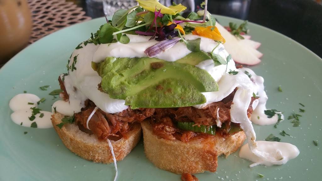 Little Lion Cafe | cafe | 1424 Sunset Cliffs Blvd, San Diego, CA 92107, USA | 6197566921 OR +1 619-756-6921