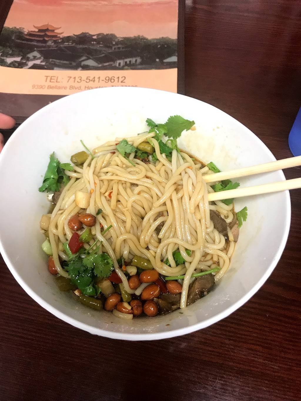 Central China Restaurant | restaurant | 9390 Bellaire Blvd, Houston, TX 77036, USA | 7135419612 OR +1 713-541-9612