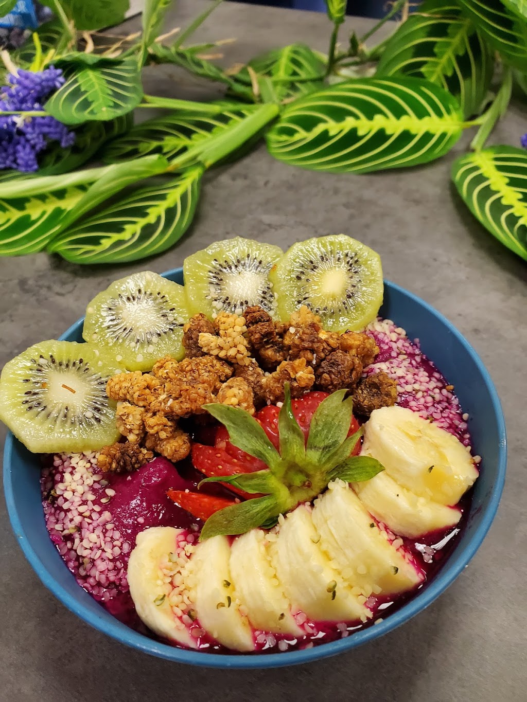 ORGANIC NATURE BOWLS | restaurant | 503 Marlboro Rd UNIT B, Wood-Ridge, NJ 07075, USA | 2017284909 OR +1 201-728-4909